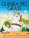 Book Guinea Pig Grass Small (B04)
