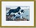 Gold Framed/Matted Print 17x23, Two Newfoundlands