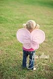 butterfly wings