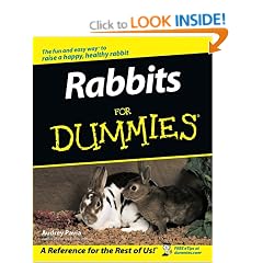 Rabbit Care Guide