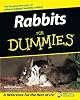 Rabbits for Dummies