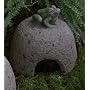 Toad House