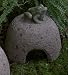 Toad House