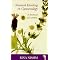 Herbal Abortion