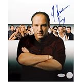 James Gandolfini 1st Season Meet Tony Soprano 16X20 Photo - Model GANDPHS016018