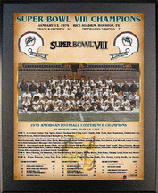 Buy 1973 Miami Dolphins Super Bowl VIII Champions 11 x 13 Plaque from Healy Pro by Healy Pro