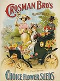 CHOICE CARNIVAL FLOWER SEEDS GIRLS CROSMAN BRO'S ROCHESTER NEW YORK 15