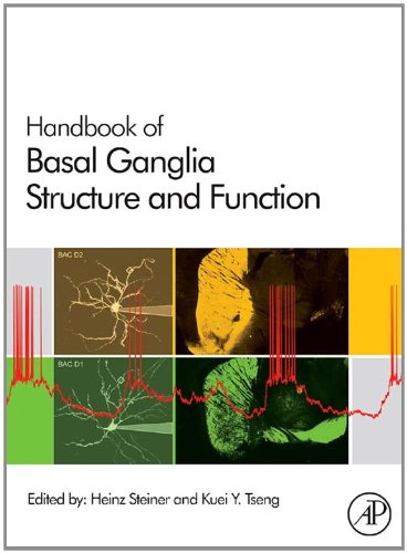 Handbook of Basal Ganglia Structure and Function: A Decade of Progress (Handbook of Behavioral Neuroscience) On Sale