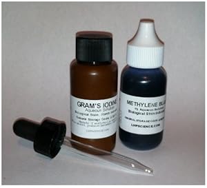 Biological Stain Set - Methylene Blue and Iodine