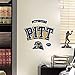 NCAA Pittsburgh Panthers Teammate Logo Fathead