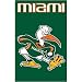 Miami Hurricanes NCAA Applique Banner Flag (44"x28") "Ibis"