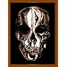 Alexander McQueen: Savage Beauty