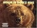 Book Moon In Bear's Eyes
