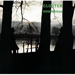 Sowiesoso [Vinyl LP]