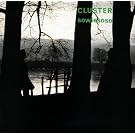 Sowiesoso [Vinyl LP]