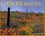 Wildflowers