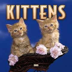 Kittens Mini Wall Calendar 2005