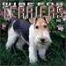 Fox Terriers, Wire 2002 Wall Calendar