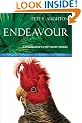 Endeavour: The Story Of Captain Cook's First Great Epic Voyage (Voyages Promotion)