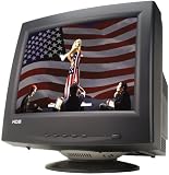 17IN 16V Crt 1280X1024 .24MMVS-7BLK 60HZ OSD P p Blk Bezel