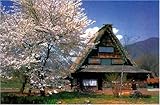 1000ピース 春景白川郷 RS-13-247