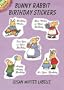 Bunny Rabbit Birthday Stickers (Dover Little Activity Books)