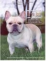 French Bulldog Champions, 2001-2004
