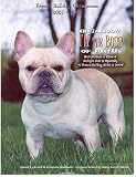 French Bulldog Champions, 2001-2004