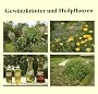 Gew�rzkr�uter und Heilpflanzen: 77 Gartenkr�uter, Anbau, Ernte, Aufbereitung, Inhaltsstoffe, Verwendung
