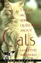 125 Most Asked Questions About Cats (And the Answers)