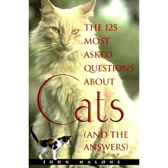 125 Most Asked Questions About Cats (And the Answers)