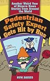 Pedestrian Safety Expert Gets Hit by Bus: Another Weird Year of Bizarre News Stories from Around the World