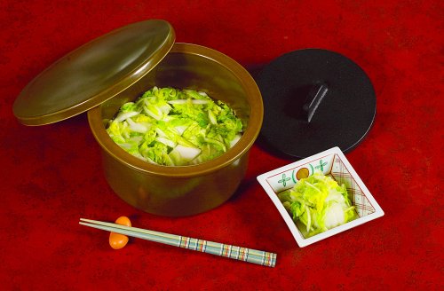 体にやさしい浅漬器 菜健好房