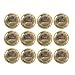 Jarden #42000 Ball 12PK Wide Mouth Dome Lid