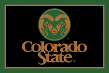 Buy Colorado State Rams 3' x 5' Small Top View Area Rug by Logo Rugs