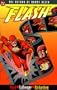 The Flash: The Return of Barry Allen