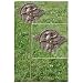 WWII Veteran Grave Marker - in Cast Bronze