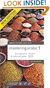 Mastering Arabic
