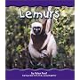 Lemurs (Rain Forest Animals)