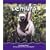 Lemurs (Rain Forest Animals)