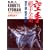 Shotokan Karate International Kumite Kyohan