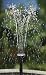 Smart Solar Sun Jet 150 Fountain Pump