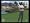 Tiger Woods PGA Tour 2006 (Xbox)