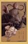 The Rat and the Rose: A Naughtobiography