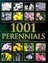1001 Perennials