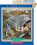 Bobcats (True Books: Animals)