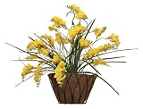 Austram 25120535 16 - Inch Black Lotus Hanging Planter with Chain - B001CV324C