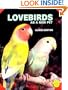 Lovebirds as a New Pet