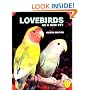 Lovebirds As a New Pet