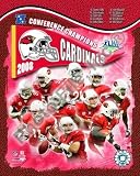 Arizona Cardinals 2008-2009 NFC Champs 8x10 Photo